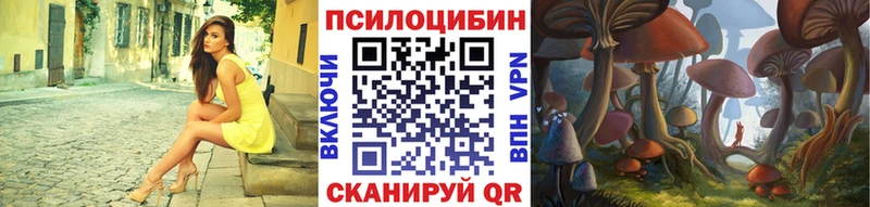 где продают   Нижнеудинск  Псилоцибиновые грибы Magic Shrooms 