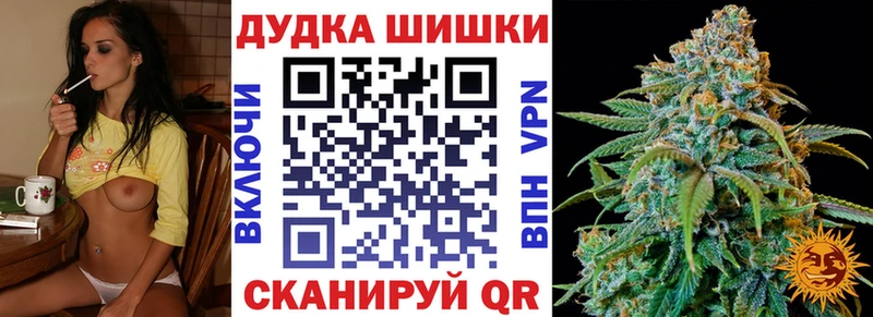 Каннабис план  даркнет сайт  Нижнеудинск 